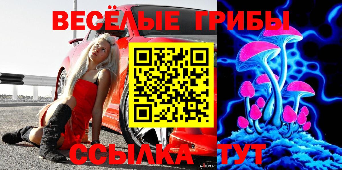 Чистополь  Галлюциногенные грибы Cubensis  Вход с VPN 