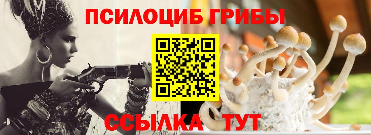 Псилоцибиновые грибы прущие грибы Чистополь